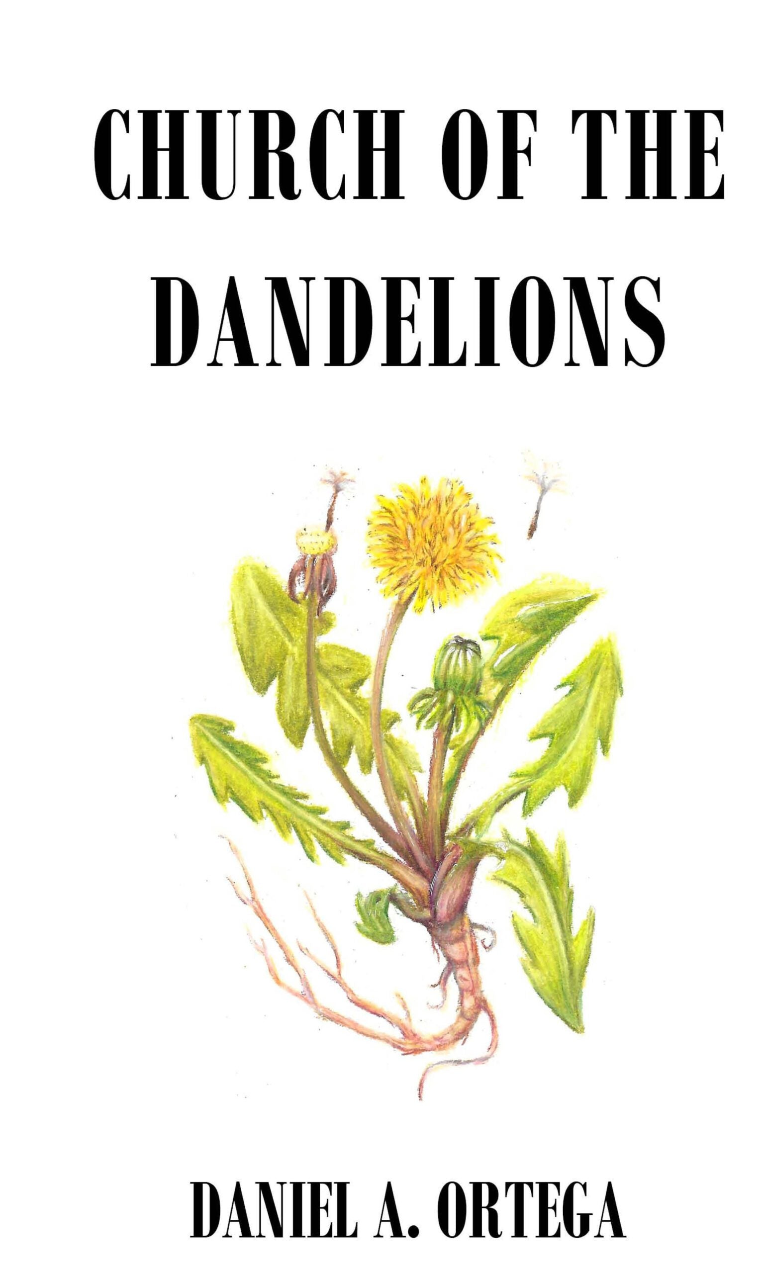 Church of the Dandelions image 0