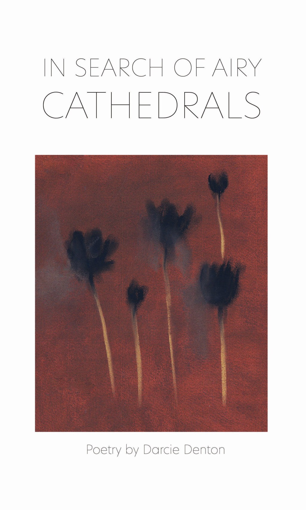 In Search of Airy Cathedrals image 0