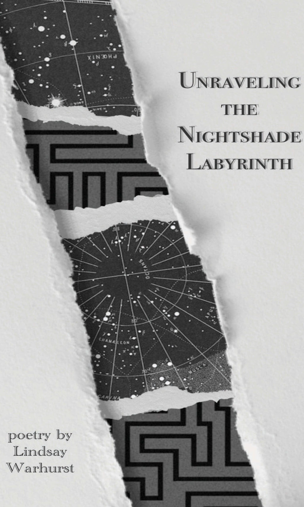 Unraveling the Nightshade Labyrinth image 0