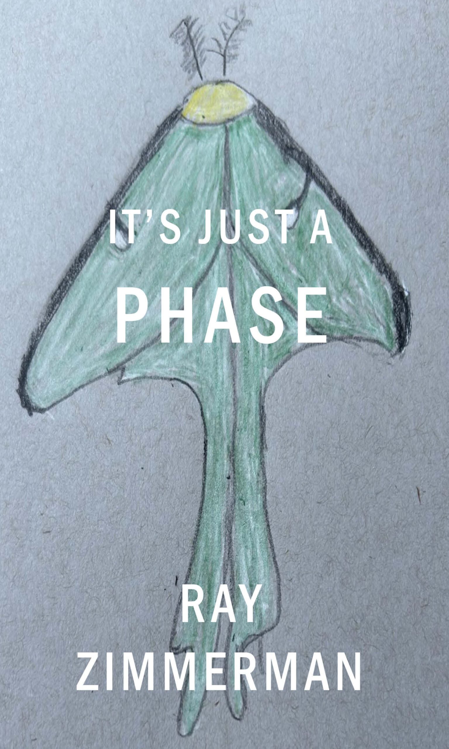 It's Just a Phase image 0